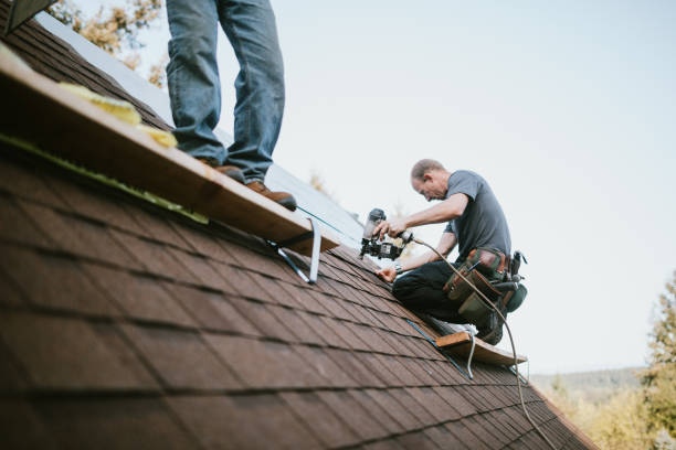 Best Roof Leak Repair  in Elkhorn City, KY