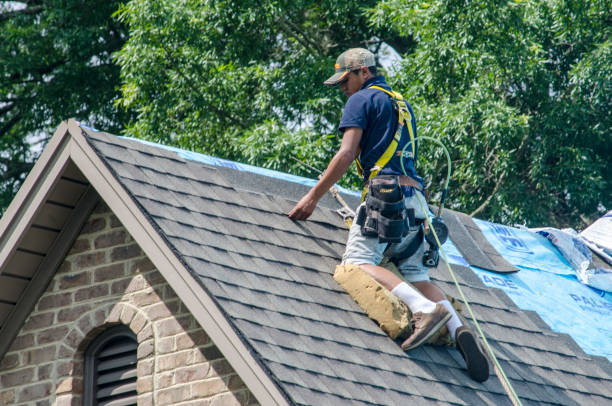Best Roof Leak Repair  in Elkhorn City, KY