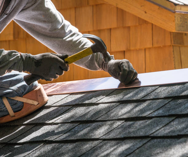 Best Roof Gutter Cleaning  in Elkhorn City, KY